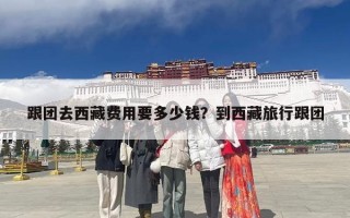 跟团去西藏费用要多少钱？到西藏旅行跟团