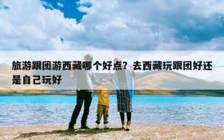 旅游跟团游西藏哪个好点？去西藏玩跟团好还是自己玩好