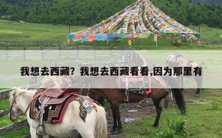 我想去西藏？我想去西藏看看,因为那里有