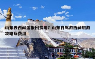 山东去西藏游报团费用？山东自驾游西藏旅游攻略及费用