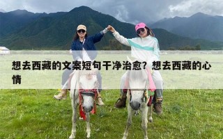 想去西藏的文案短句干净治愈？想去西藏的心情