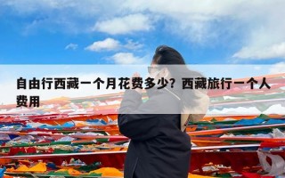 自由行西藏一个月花费多少？西藏旅行一个人费用