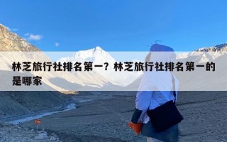 林芝旅行社排名第一？林芝旅行社排名第一的是哪家