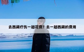 去西藏疗伤一趟花费？去一趟西藏的费用
