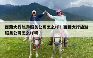 西藏大行旅游服务公司怎么样？西藏大行旅游服务公司怎么样呀