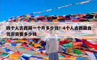 四个人去西藏一个月多少钱？4个人去西藏自驾游需要多少钱