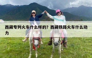 西藏专列火车什么样的？西藏铁路火车什么动力