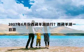 2017年6月份西藏羊湖旅行？西藏羊湖一日游