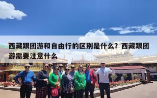 西藏跟团游和自由行的区别是什么？西藏跟团游需要注意什么