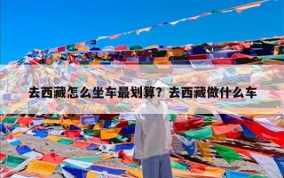 去西藏怎么坐车最划算？去西藏做什么车
