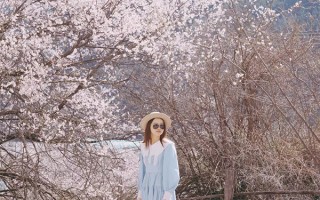 武汉去一趟西藏大概需要多少钱？从武汉去西藏玩一趟每人要花多少钱？