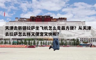 天津去新疆拉萨坐飞机怎么走最方便？从天津去拉萨怎么样又便宜又快呢?