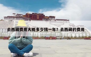 去西藏费用大概多少钱一年？去西藏的费用