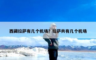 西藏拉萨有几个机场？拉萨共有几个机场