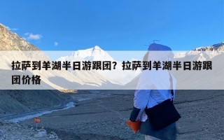 拉萨到羊湖半日游跟团？拉萨到羊湖半日游跟团价格