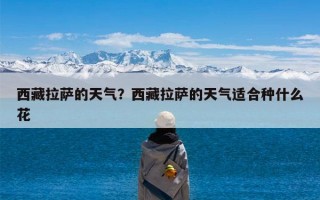 西藏拉萨的天气？西藏拉萨的天气适合种什么花