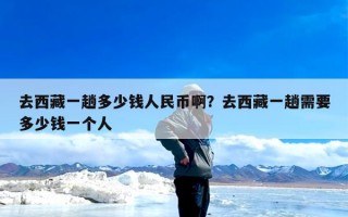 去西藏一趟多少钱人民币啊？去西藏一趟需要多少钱一个人
