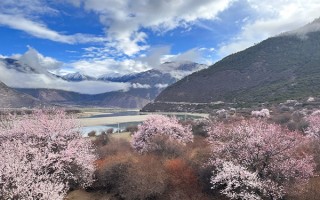三月份的西藏温度低不低风景怎么样？三月适合去西藏旅游吗？