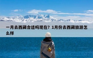 一月去西藏合适吗现在？1月份去西藏旅游怎么样