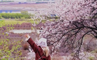拉萨旅游五千够吗？去拉萨玩一周花费？