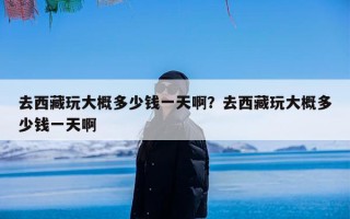 去西藏玩大概多少钱一天啊？去西藏玩大概多少钱一天啊