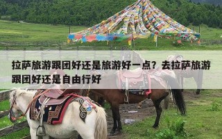 拉萨旅游跟团好还是旅游好一点？去拉萨旅游跟团好还是自由行好