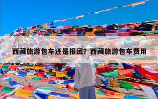 西藏旅游包车还是报团？西藏旅游包车费用