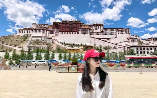 一般的话一个人出去旅游跟团好还是自由行好？一个人去西藏玩跟团比自由行更好吗？ 