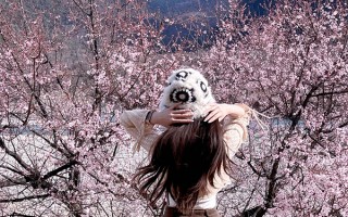 温州到西藏旅游团需要多少钱？从温州跟团去西藏旅游的最新报价多少？