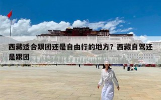西藏适合跟团还是自由行的地方？西藏自驾还是跟团