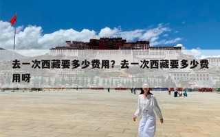去一次西藏要多少费用？去一次西藏要多少费用呀