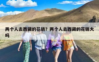 两个人去西藏的花销？两个人去西藏的花销大吗