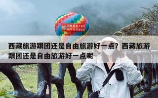 西藏旅游跟团还是自由旅游好一点？西藏旅游跟团还是自由旅游好一点呢