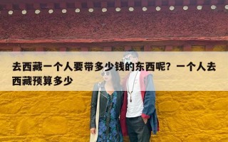 去西藏一个人要带多少钱的东西呢？一个人去西藏预算多少