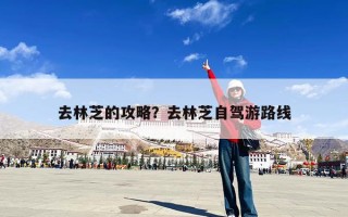 去林芝的攻略？去林芝自驾游路线