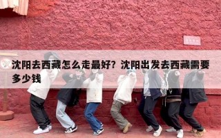 沈阳去西藏怎么走最好？沈阳出发去西藏需要多少钱