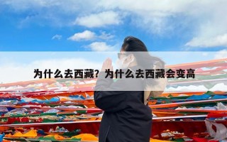 为什么去西藏？为什么去西藏会变高