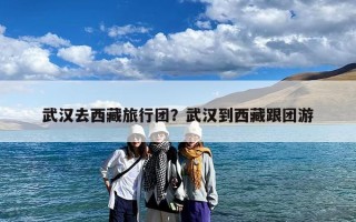 武汉去西藏旅行团？武汉到西藏跟团游