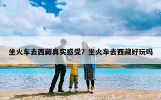 坐火车去西藏真实感受？坐火车去西藏好玩吗