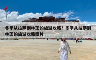 冬季从拉萨到林芝的旅游攻略？冬季从拉萨到林芝的旅游攻略图片