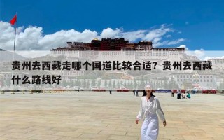 贵州去西藏走哪个国道比较合适？贵州去西藏什么路线好