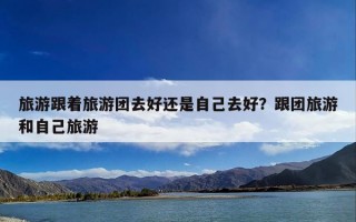 旅游跟着旅游团去好还是自己去好？跟团旅游和自己旅游