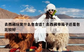 去西藏玩背什么包合适？去西藏带箱子还是包比较好
