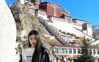 在8月一个人去西藏大概需要多少钱？一个人在8月跟团去西藏旅游报价多少？