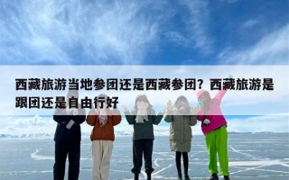 西藏旅游当地参团还是西藏参团？西藏旅游是跟团还是自由行好