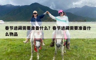 春节进藏需要准备什么？春节进藏需要准备什么物品