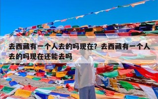 去西藏有一个人去的吗现在？去西藏有一个人去的吗现在还能去吗