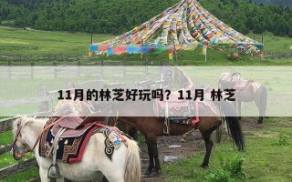 11月的林芝好玩吗？11月 林芝