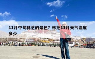 11月中旬林芝的景色？林芝11月天气温度多少