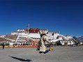 5月去西藏旅游费用多少钱？五月份去西藏玩一趟大概需要多少钱？